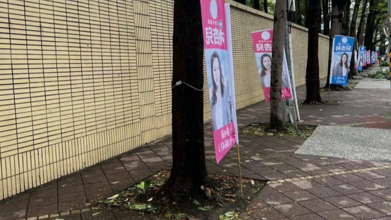 林杏兒競選關東旗「插樹穴裡」　挨轟：不是要行政中立嗎？
