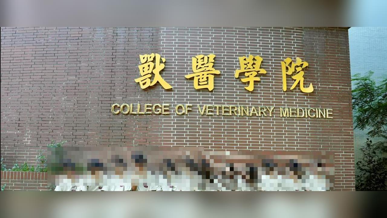 快新聞／興大獸醫系爆性騷擾！學生自救創網站　已募集41份匿名表單