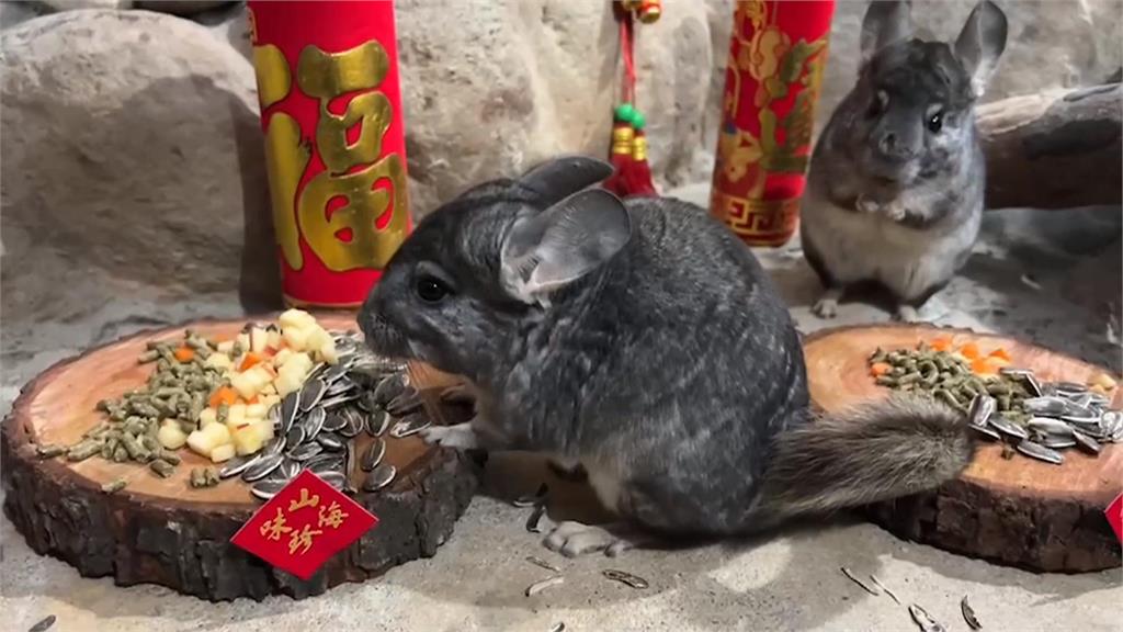 應景又討喜！　壽山動物園豐盛圍爐宴讓動物過好年