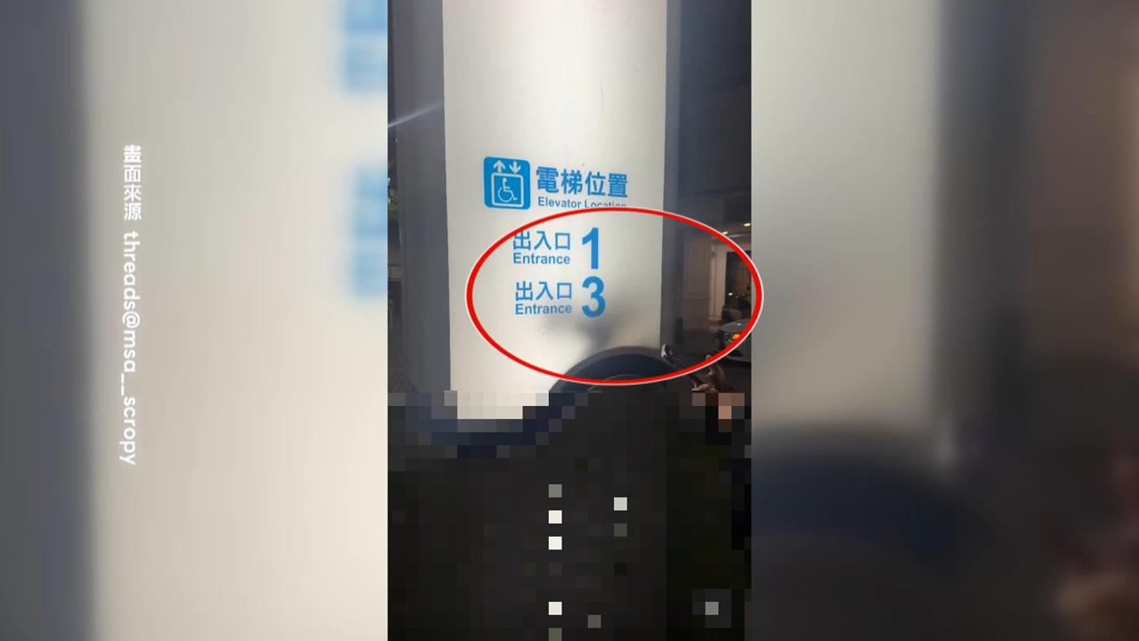 高雄戶外燈箱新裝置藝術？　竟是「野生喵星人」鑽入取暖