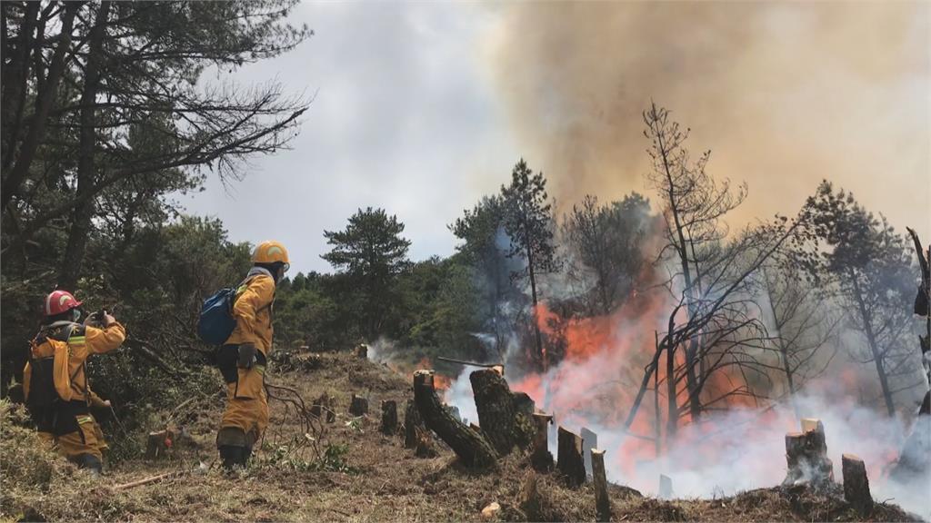 延燒12天　玉山森林大火滅了！林務局向肇事者求償上千萬