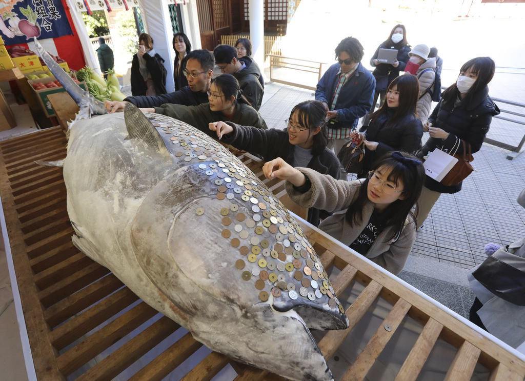 日本解除防疫限制首個新年　再度開放民眾將錢幣黏「巨大鮪魚」上