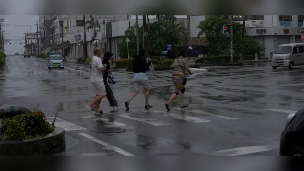 颱風巴威重創沖繩! 路樹.水塔遭吹翻 芒果園損失慘