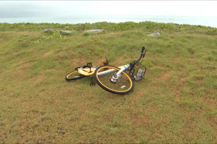 颱風過境新景象 obike屍橫遍野