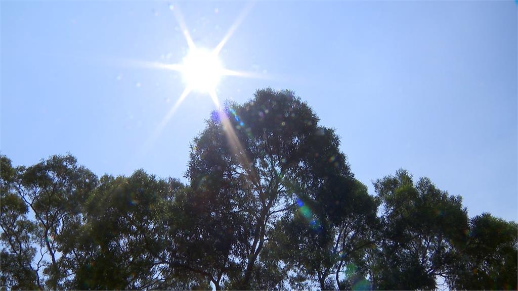 把握週末溫暖好天氣！下週五冷氣團報到轉涼