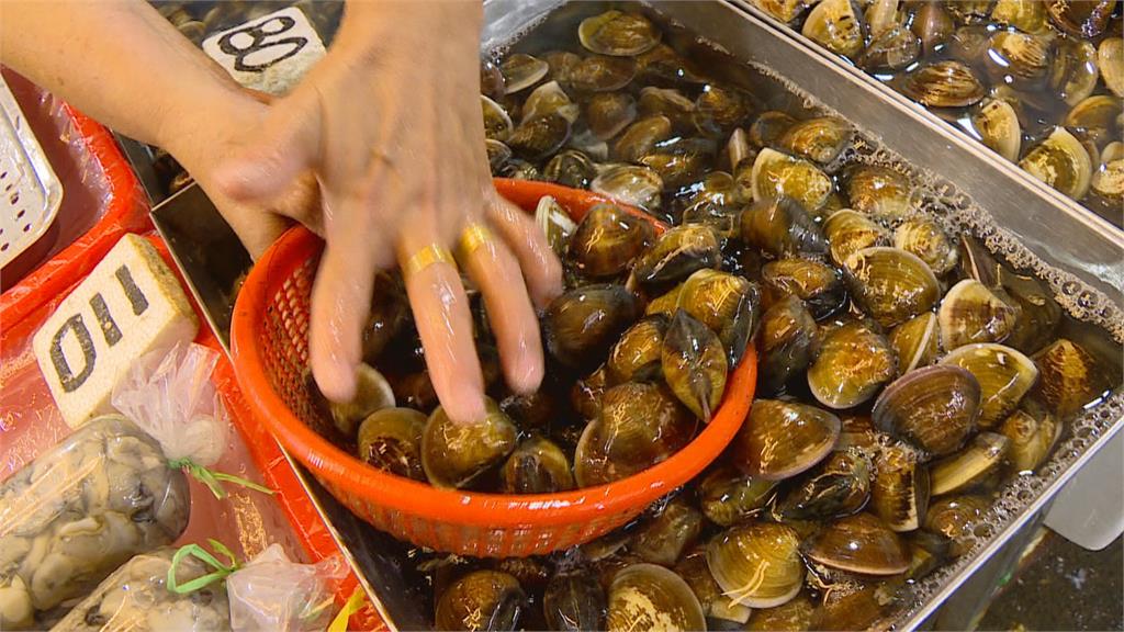 「蛤」怎麼長這麼像？農委會教你分辨台灣6種常見貝類