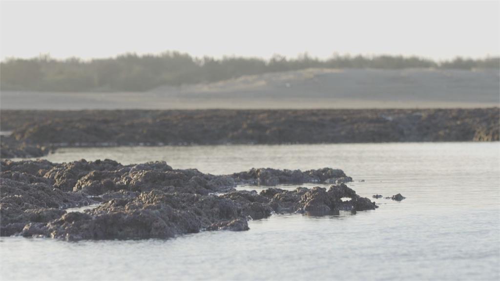 快新聞／環團控三接工程導致漂沙嚴重　<em>中油</em>：自然現象、沿岸珊瑚也未縮小