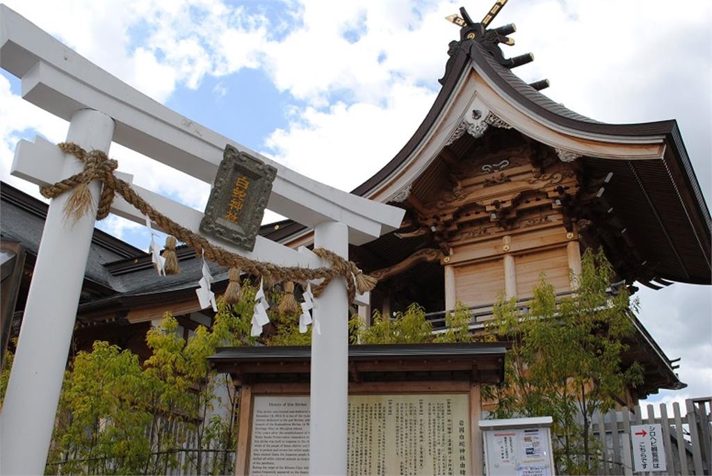 日本人今年都來這參拜！唯一有「活體白蛇」神社　御守藏蛇皮超招財