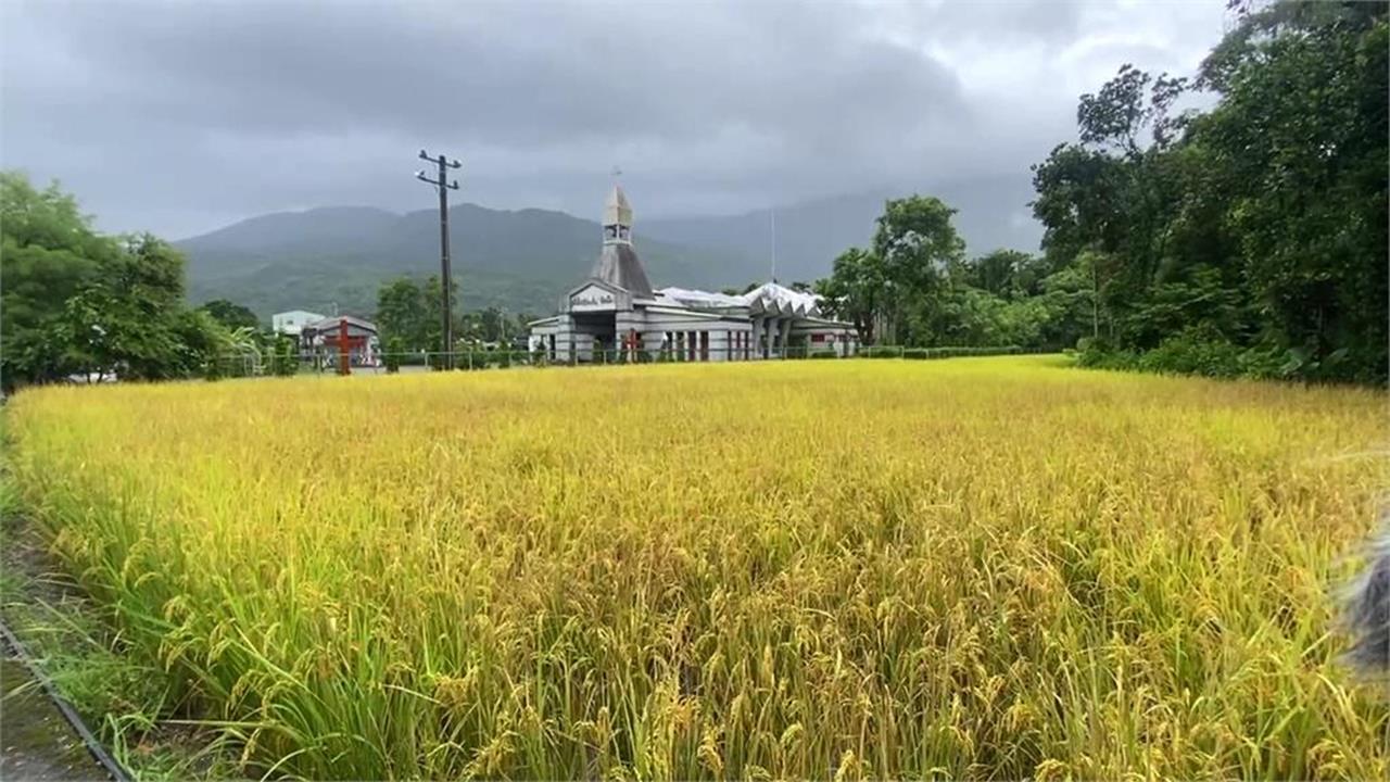 快新聞／免關稅是「4年買千億美農產」換來的？農業部火速澄清：政府未出資