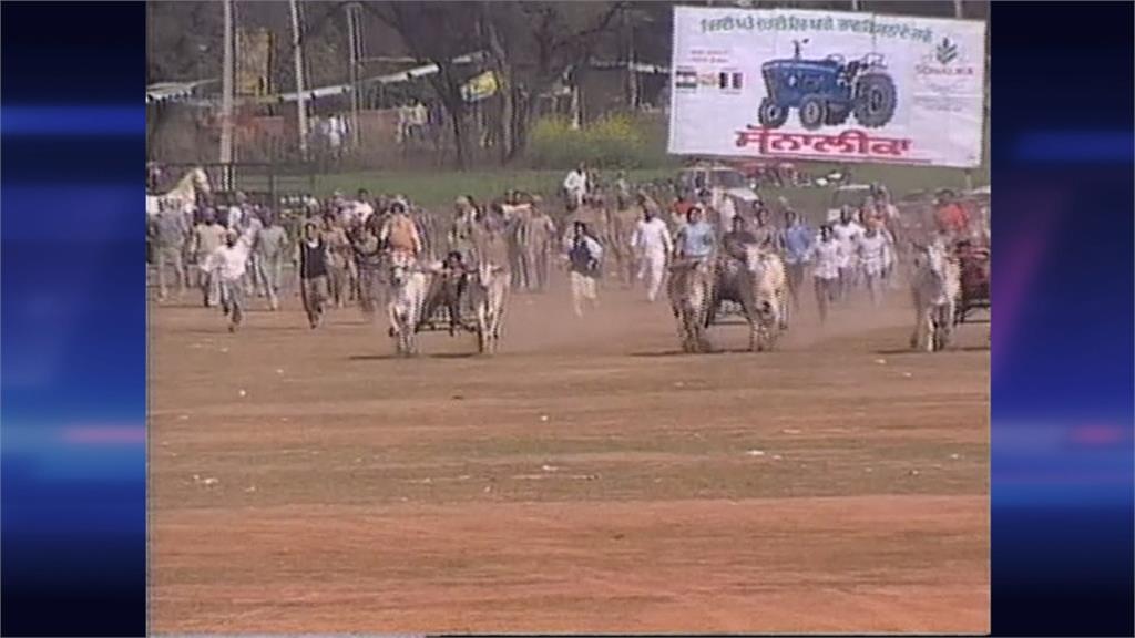 印度「鄉村奧運會」熱鬧非凡 今年因疫情取消