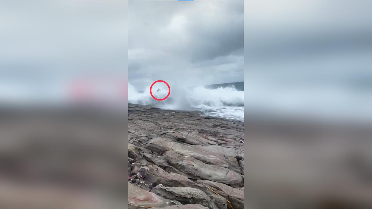 快新聞／貢寮龍洞磯釣失蹤　釣客遭浪拍落海！海巡急搜救