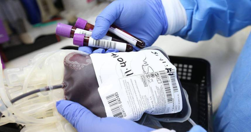 全台血庫告急「台中O型血只剩2.9天」　清明連假恐影響捐血