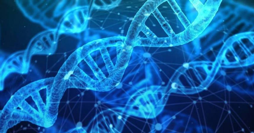 生殖醫學大突破！科學家首度以皮膚細胞製造人類早期胚胎　有望成不孕福音