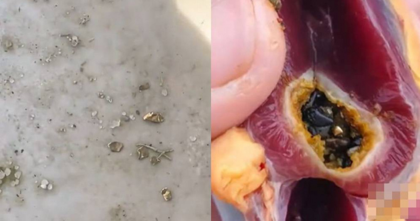 男過年宰鴨驚見肚藏硬物 火燒鑑定是黃金!全家爽收大紅包