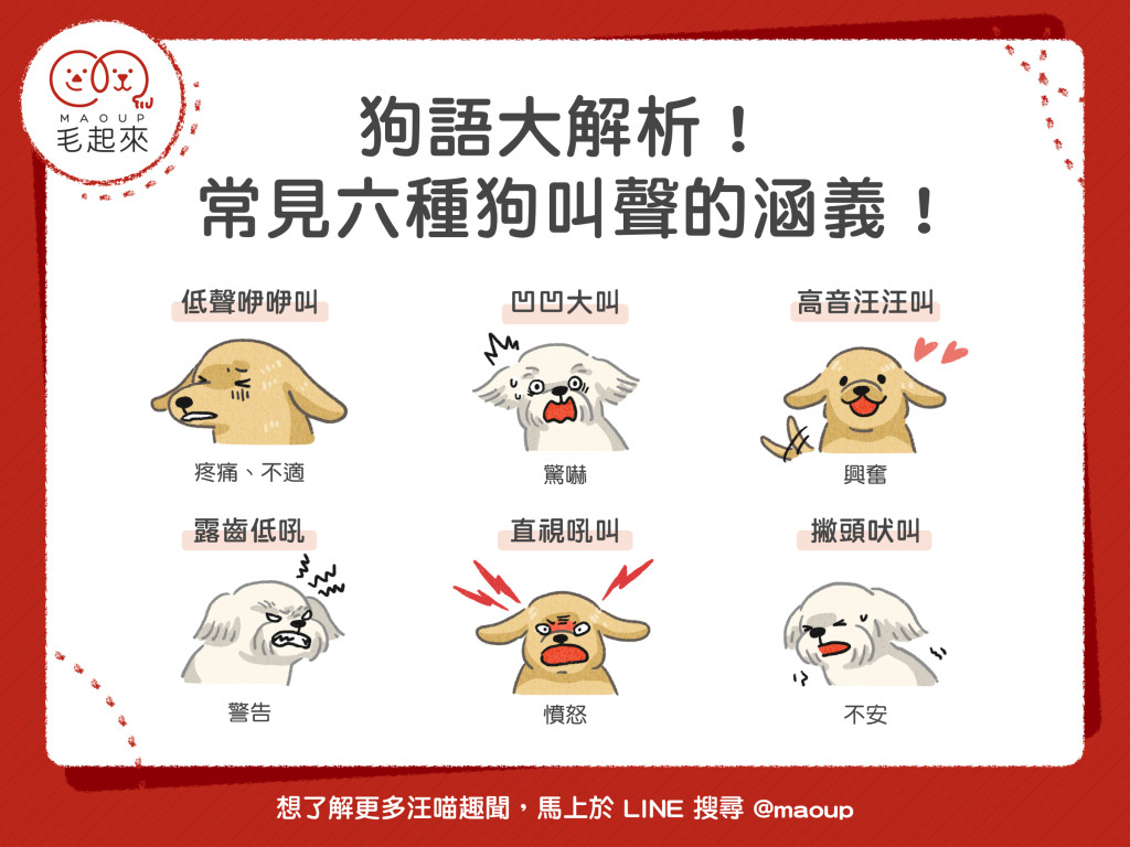 【汪汪小學堂】狗語大解析！常見六種狗叫聲的涵義！