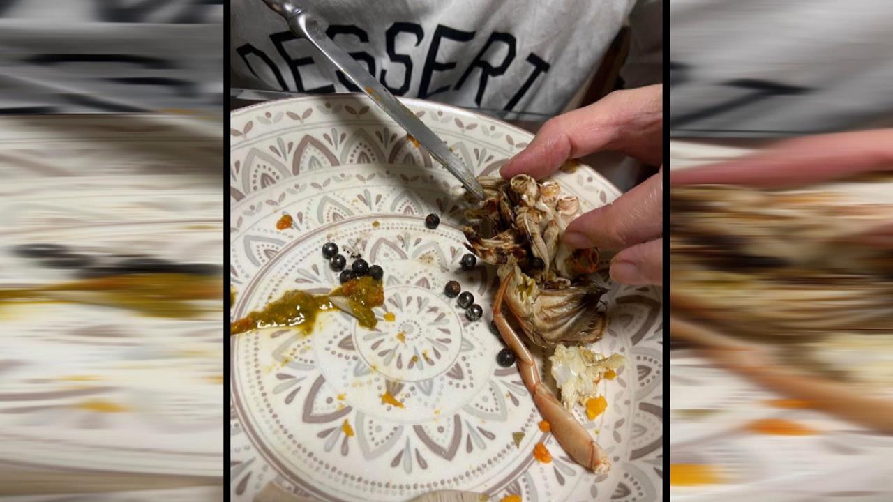 增重詐術？螃蟹裡驚見「14顆小鋼珠」　專家：疑病變異物