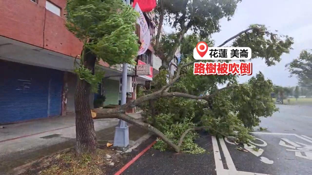 花蓮路樹、圍籬接連倒塌　普悠瑪停駛旅客改搭接駁車