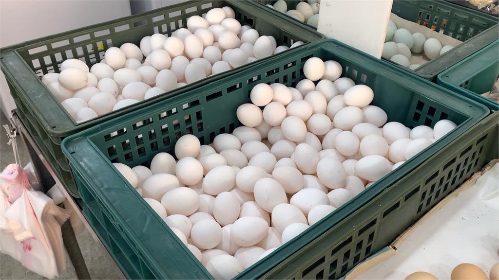 快新聞／沒補貼特定業者！　農業部：雞蛋進口是自由市場