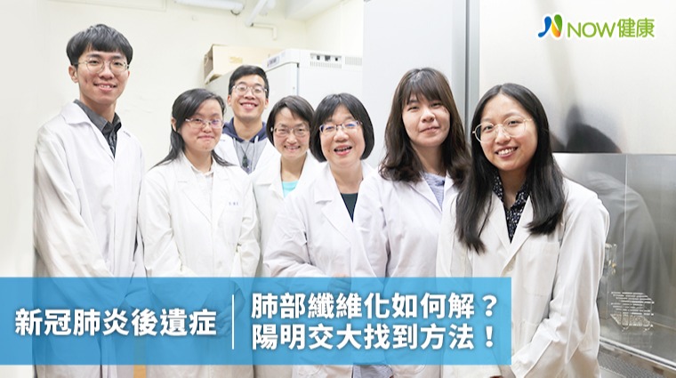新冠肺炎肺部纖維化後遺症如何解？ 陽明交大找到方法