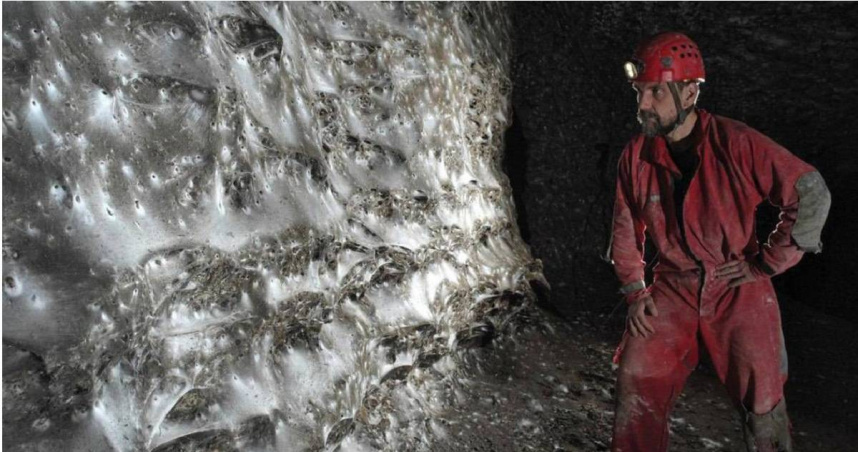 驚世奇觀！全球最大面積「蜘蛛網牆」曝光　11萬隻共同編織「以牠為食」