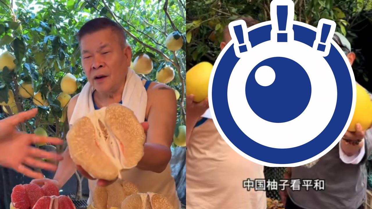70歲澎恰恰昔破產、背債2.4億！中國賣柚子「徒弟許效舜」驚喜現身