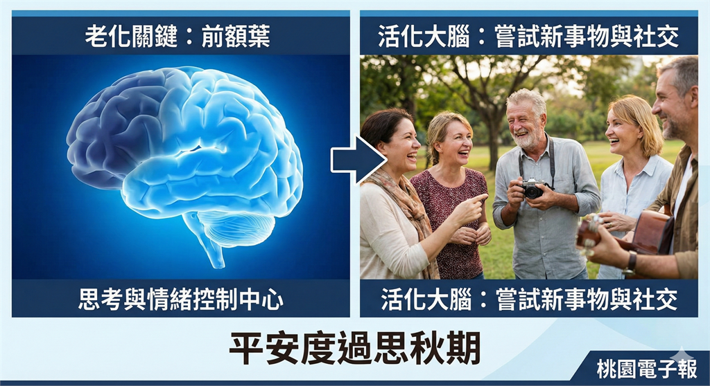 前額葉萎縮恐釀情緒失控 中年族群必懂「思秋期」避免認知退化