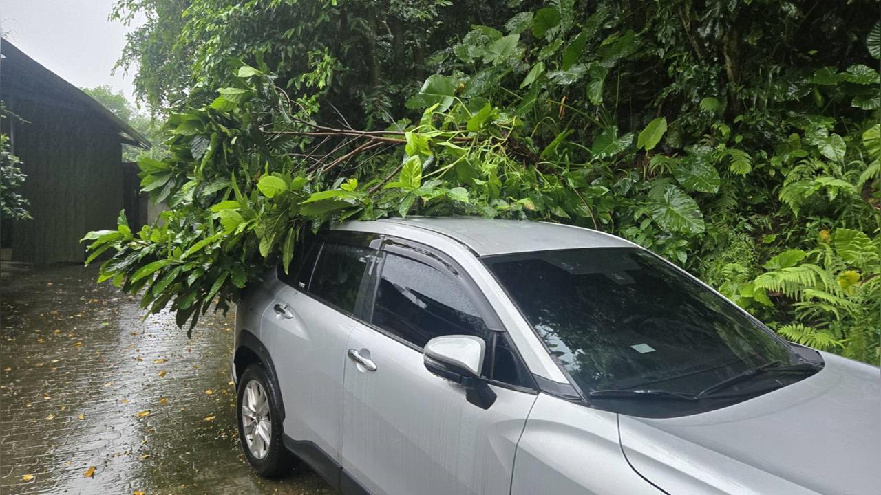 快新聞／北台豪雨！基隆暖暖東勢街土石滑落　路樹壓車輛畫面曝