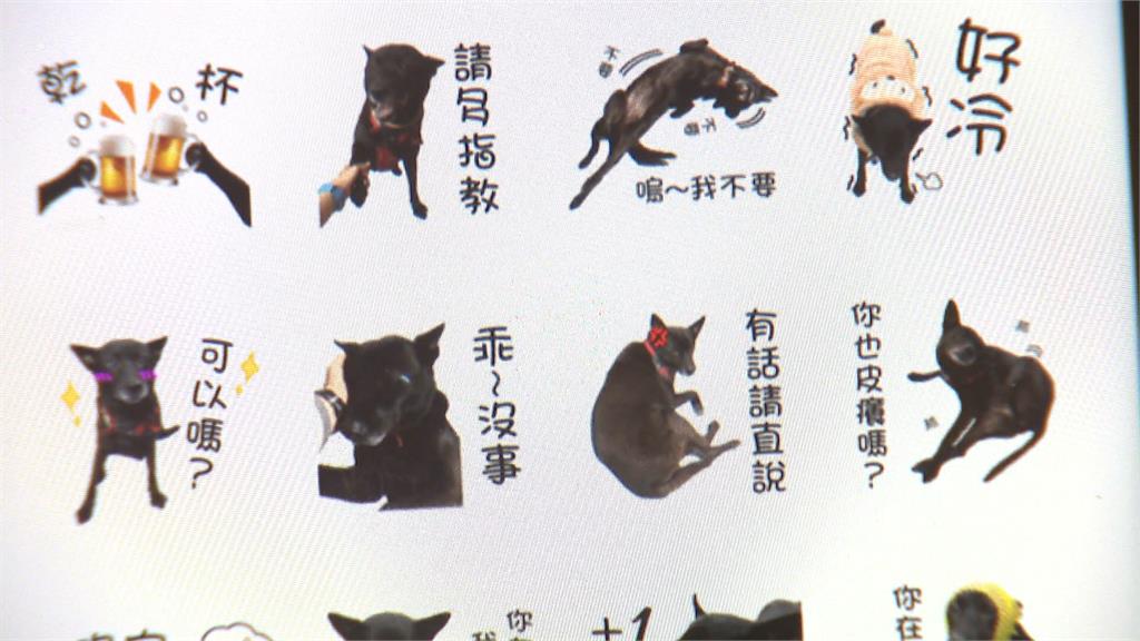 流浪犬小黑變警界狗明星好Q！警員幫出貼圖買肉肉