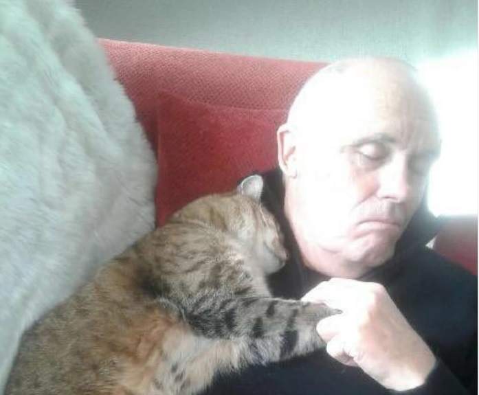家裡沒養貓《手術醒來發現有貓陪睡》難道是因為發現需要抱抱的人？