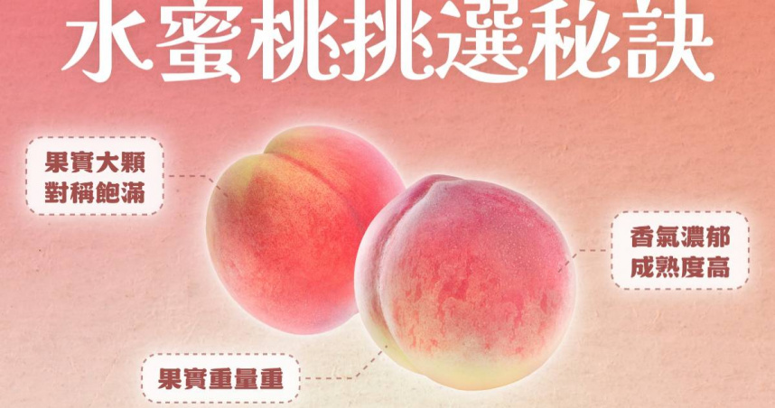 水蜜桃越紅越甜？農業部教「三招挑選秘訣」保證不踩雷