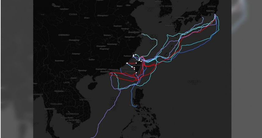 網速變慢？台海底電纜又故障1條　他揭今年8條被切斷：需時間修復