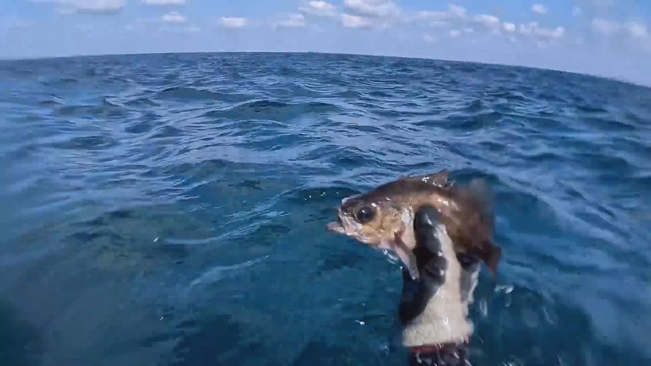 異國海底文化差異大  達人曝「地下潛規則」