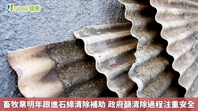 畜牧業明年跟進石綿清除補助　政府籲清除過程注重安全
