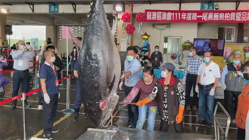 南方澳補獲今年第一「鮪」　漁市燃鞭炮恭賀