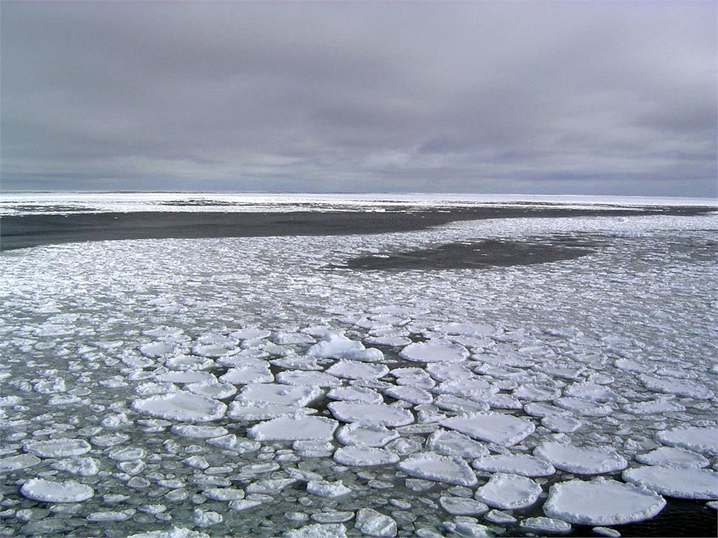 南極海冰面積創45年來新低！全球暖化恐加劇...減少範圍相當於「這國家」