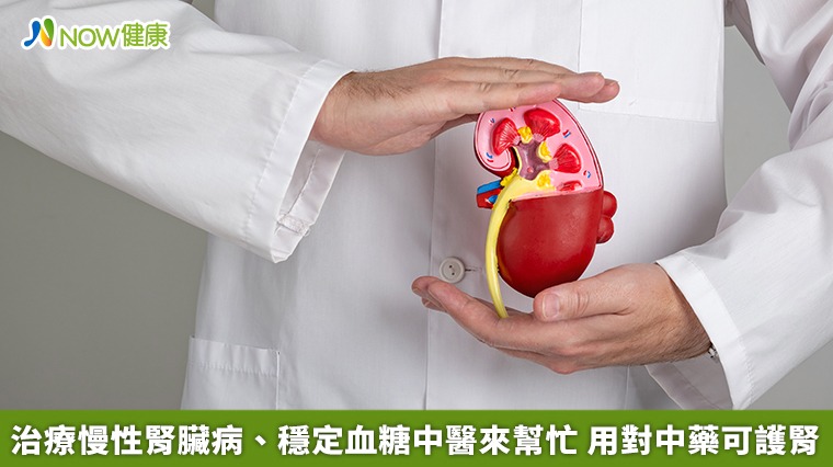 治療慢性腎臟病、穩定血糖中醫來幫忙　用對中藥可護腎