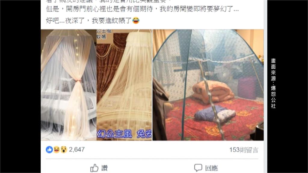 網笑翻！要媽媽買公主風蚊帳 結果買成菜蓋蚊帳