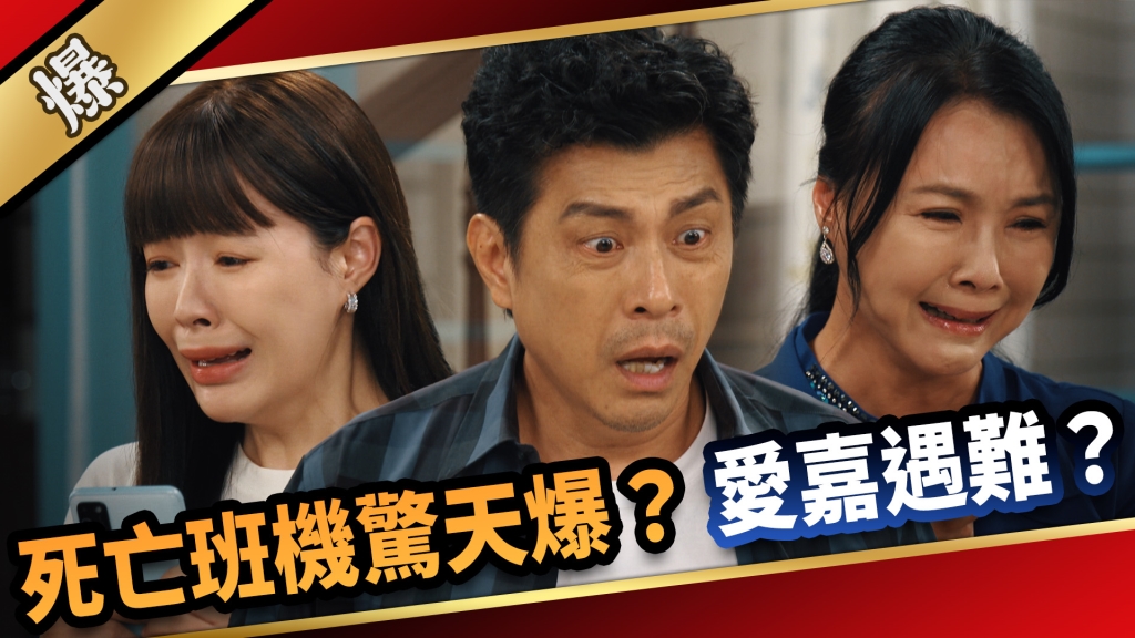 《愛的榮耀-EP193精采片段》死亡班機驚天爆？ 愛嘉遇難？ 