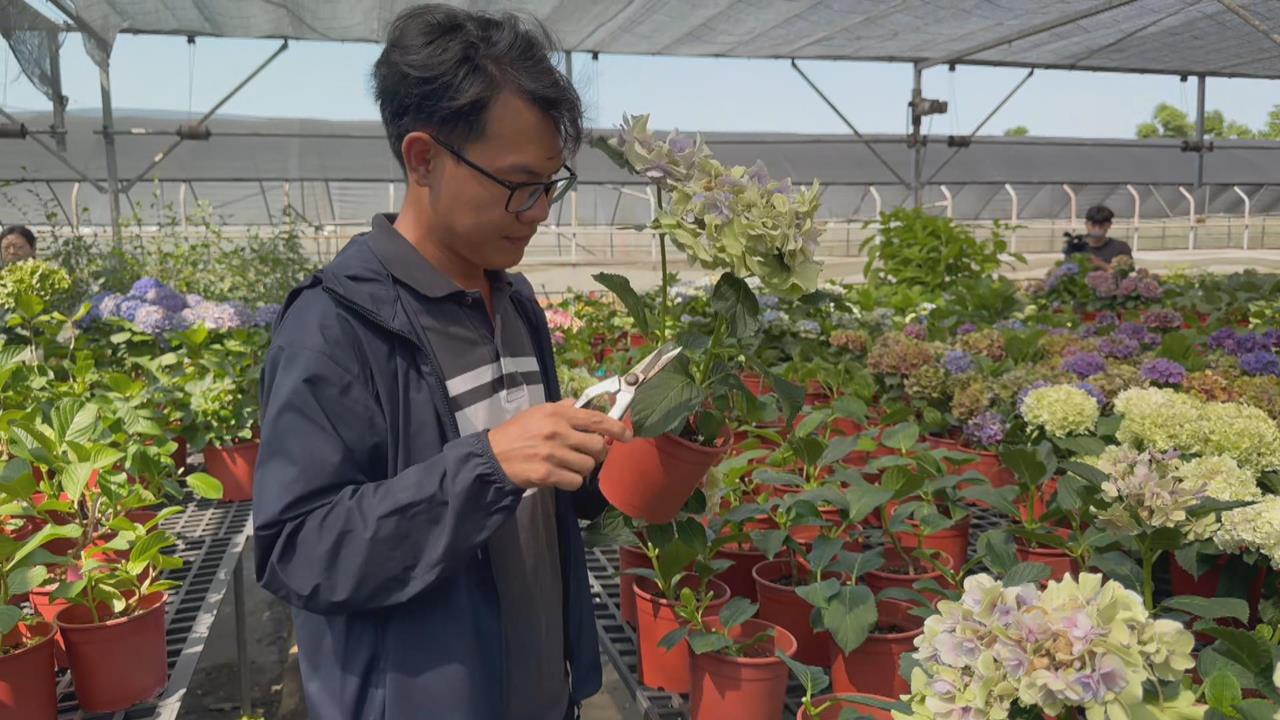 百大青農吳承燁　透過科技創新管理花卉奪得花農冠軍