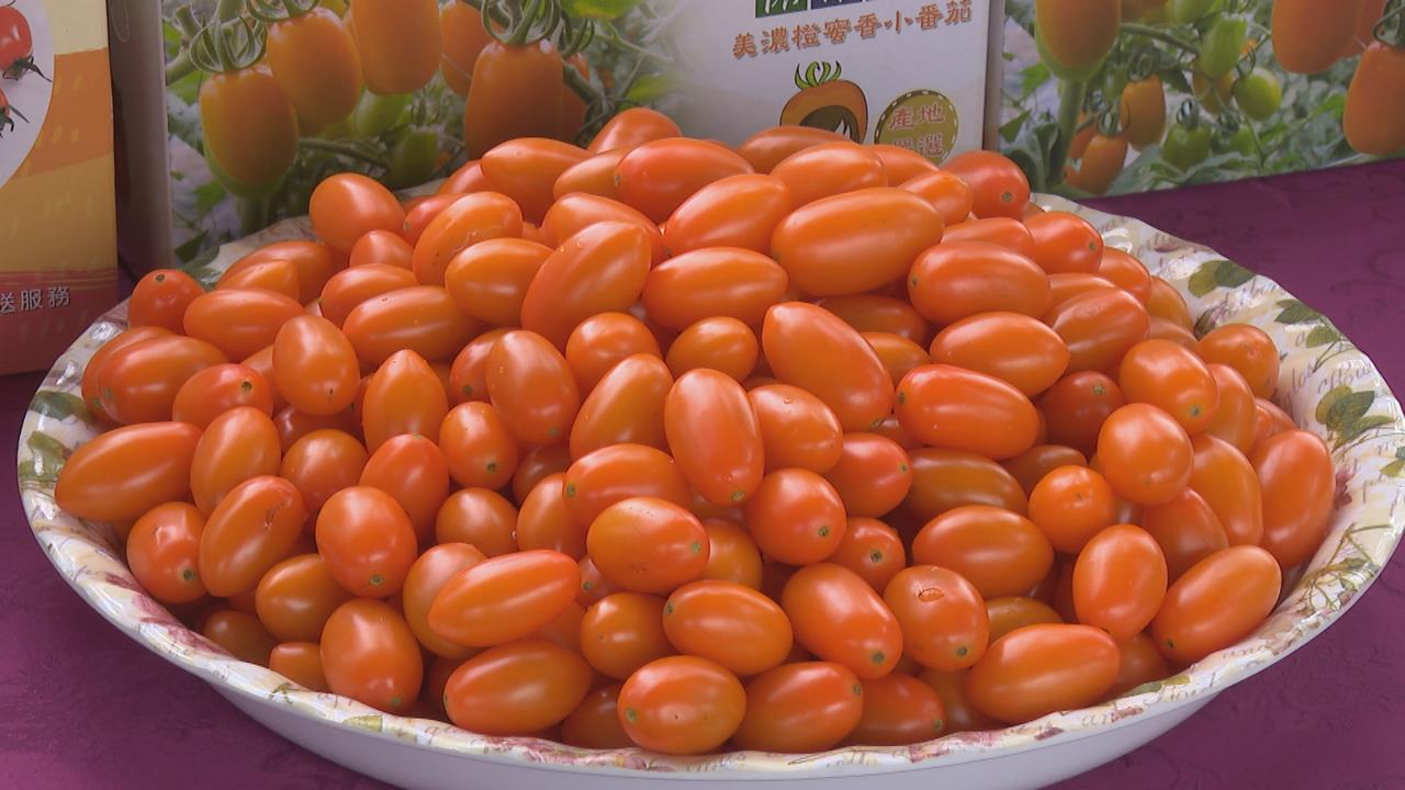 高雄郵局攜手美濃農會推廣番茄 展現在地農產魅力