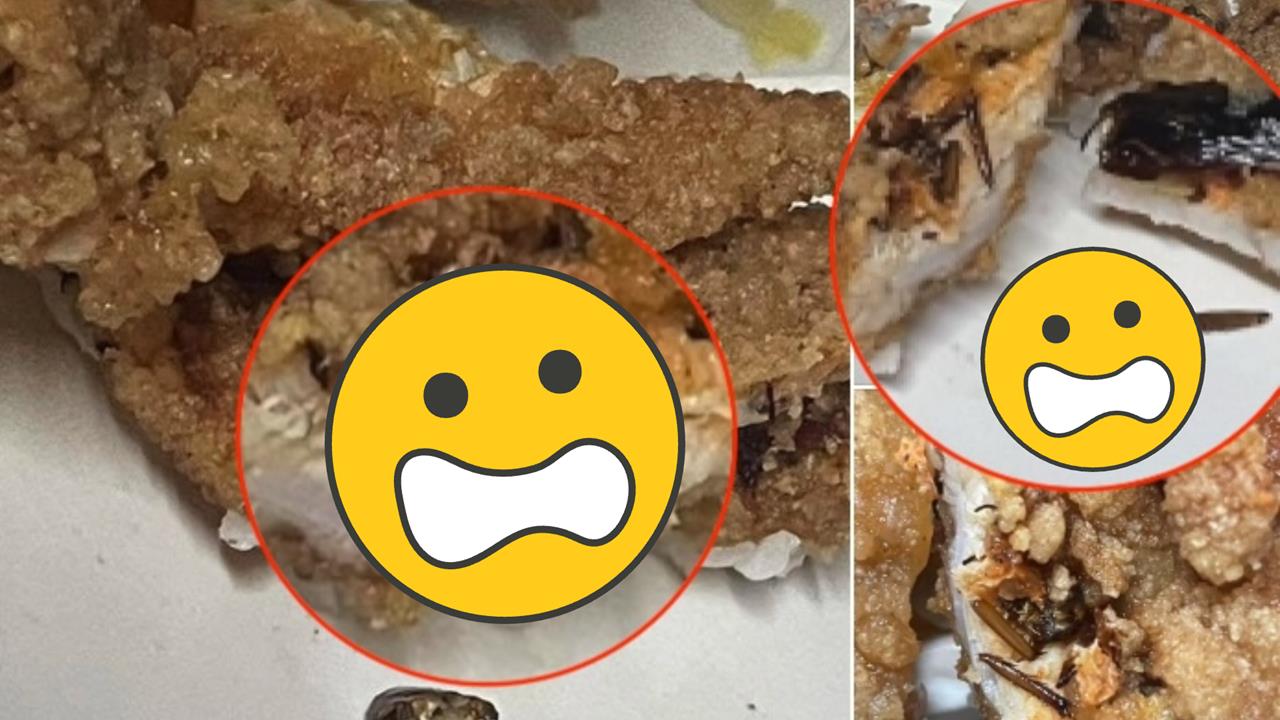 嗑雞排便當「內餡包蟑螂」超恐畫面曝！咬一口「殘肢嵌進肉」業者反應扯爆