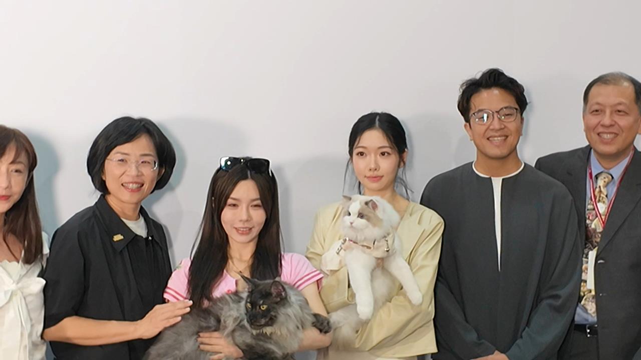 搶攻喵星人！　洋流遇上貓流　沈伯洋、蘇巧慧合體較勁政策