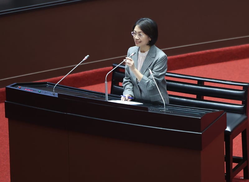 翁曉玲稱「德憲法法庭納粹時代曾違憲」 遭前立委打臉:真的留學德國?