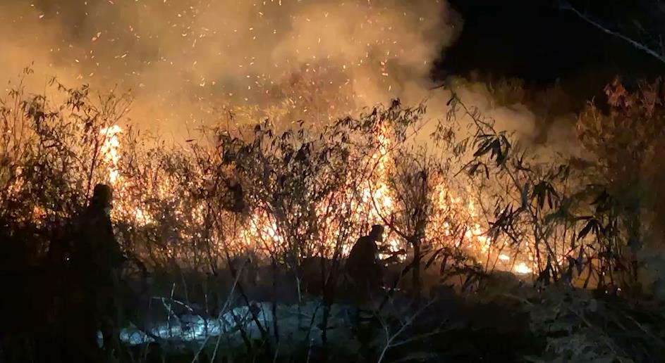快新聞／台東知本濕地發生大火　數公里外可見濃煙火光