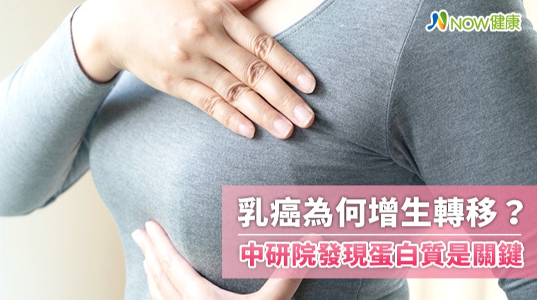 乳癌為何增生轉移？ 中研院發現蛋白質DSG2是關鍵