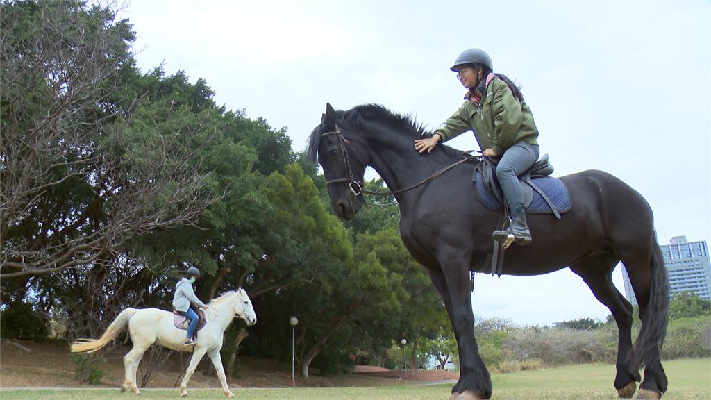 東海大學校園裡有白馬奔馳！　開設馬術課將讓大眾來體驗