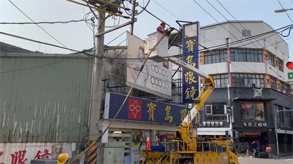 高雄林園下鳥屎雨　電線塗驅鳥劑　疑釀大量燕子摔落死傷