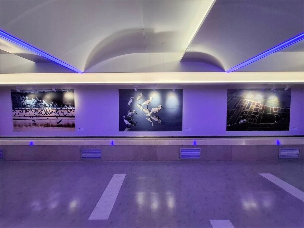 國家公園攝影展桃機登場 秀出台灣珍貴自然資源