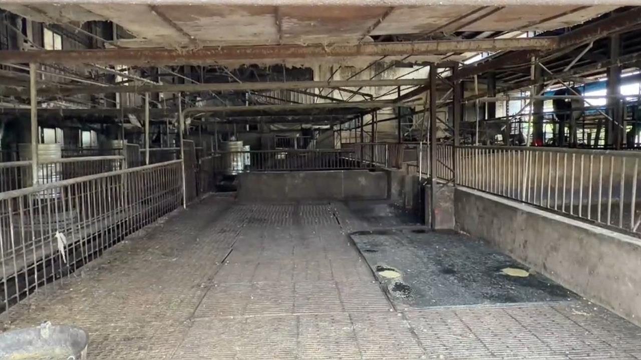 快新聞/環境部:台中市府未落實稽查「非洲豬瘟案場廚餘」 不符規定成破口