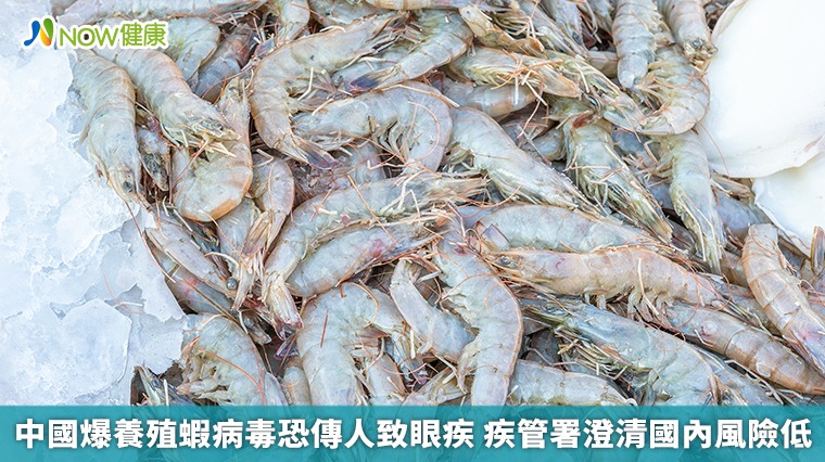 中國爆養殖蝦病毒恐傳人致眼疾 疾管署澄清國內風險低